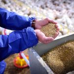 Хорольський механічний завод з України розпочав процес локалізації виробництва в Туреччині