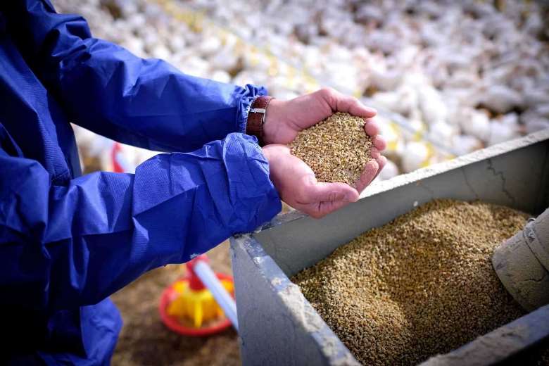 Хорольський механічний завод з України розпочав процес локалізації виробництва в Туреччині